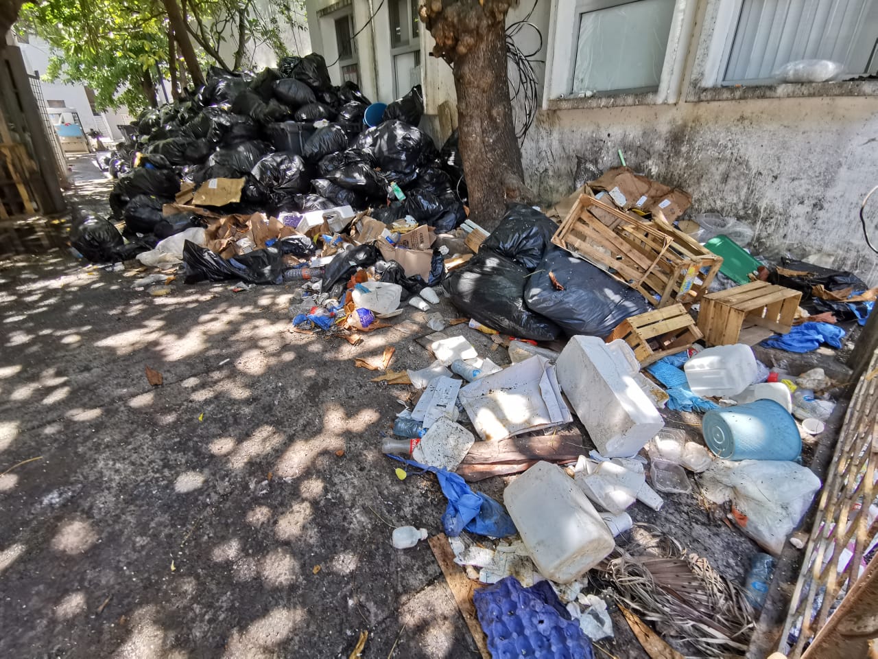 La basura se está comenzando a acumular en las instancias estatales. (Isabel Zamudio)