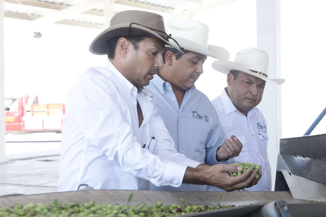 El gobernador Francisco García Cabeza de Vaca en la fábrica Olivares de la Sierra (Foto/Vía Twitter)