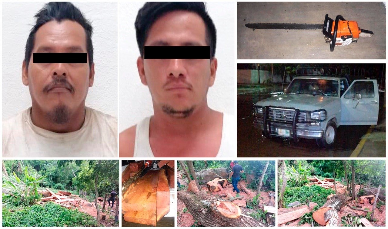Los hombres fueron detenidos por ecocidio. (FGR Chiapas)