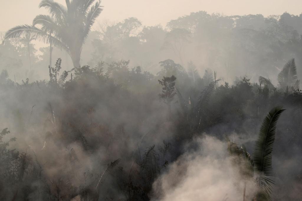 El ministro de Medio Ambiente, Ricardo Salles, dijo que el avance de los incendios se debe "al tiempo seco". Reuters