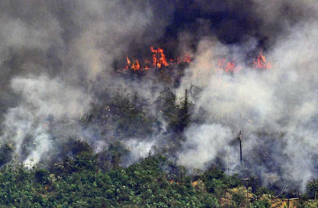 El INPE reportó que entre el 1 de enero y el 1 de agosto fueron deforestados 9 mil 250 kilómetros cuadrados. AFP