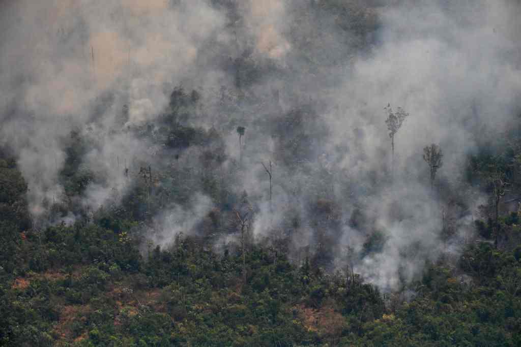 Los incendios en Brasil aumentaron 85% en lo que va del año. AFP