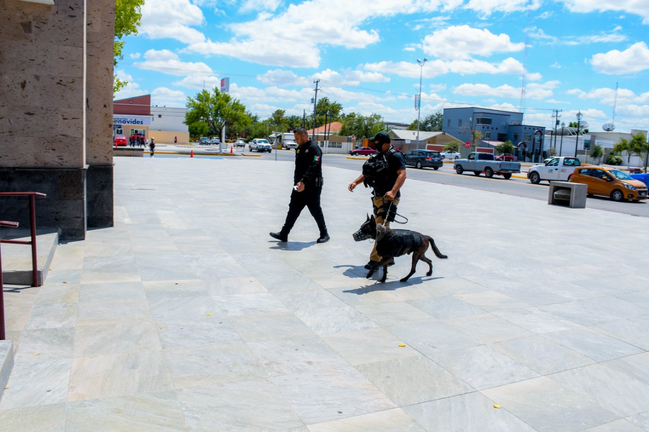 La revisión fue dirigida por el Capitán Segundo de Infantería, Rodrigo Dávila Sánchez, además de la ayuda de un binomio canino. (Especial)