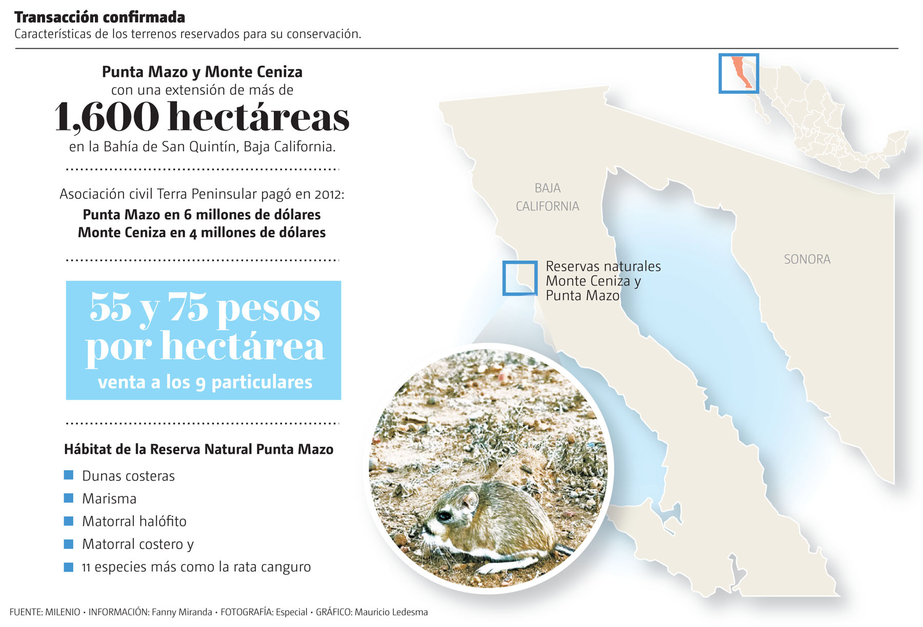 Transacción confirmada. Características de los terrenos reservados para su conservación. (Gráfico: Mauricio Ledesma)