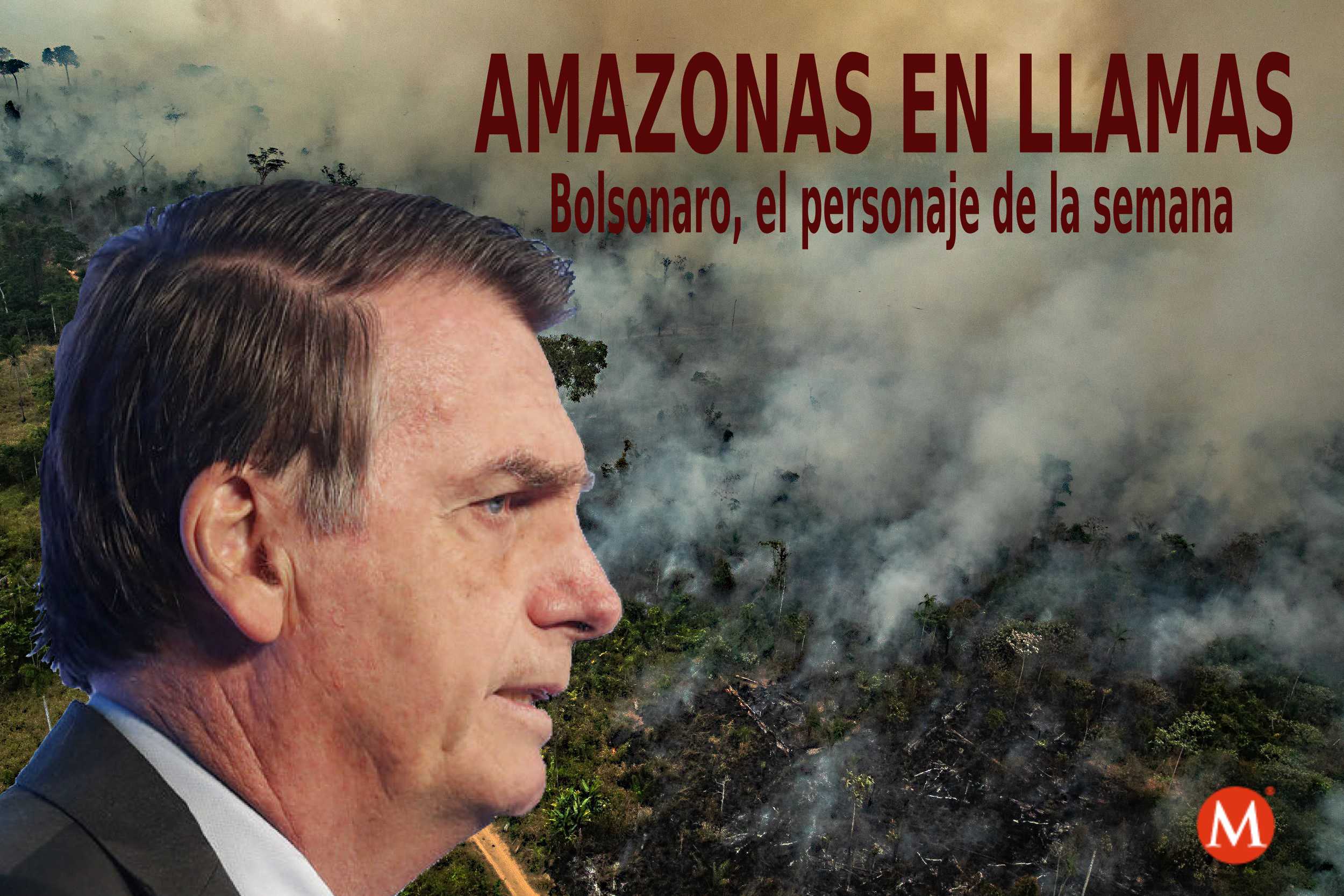 Documentos filtrados a Open Democracy muestran los verdaderos planes que Bolsonaro tiene para la selva amazónica. Especial