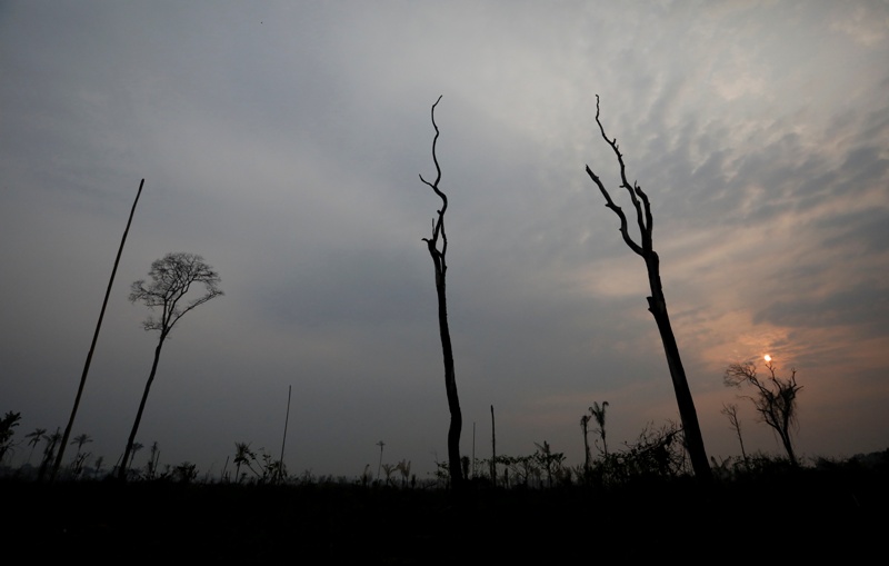 El amazonas en llamas. (Reuters)