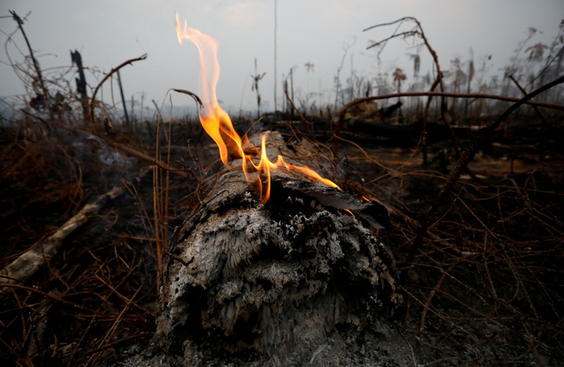 Los incendios provocaron una ola de indignación mundial. (Reuters)