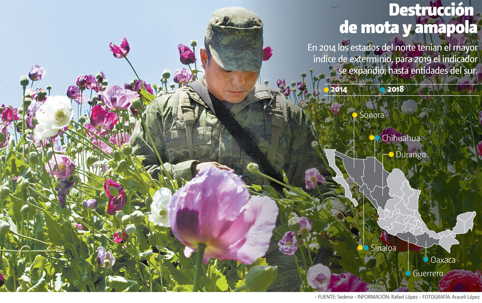 En 2014 los estados del norte tenían el mayor índice de exterminio, para 2019 el indicador se expandió. (Araceli López | Gráfico: MILENIO)