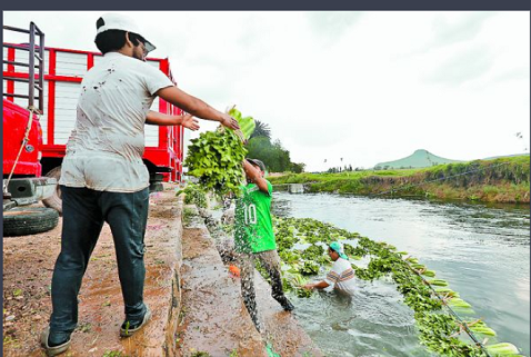 Los vecinos piden que no se lleven el agua. (Héctor Téllez)