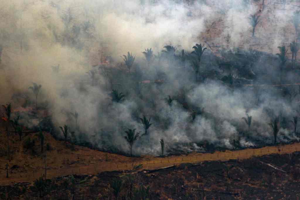 Diversos gobiernos han buscado ayudar en lucha contra los incencidios del Amazonas. (AFP)