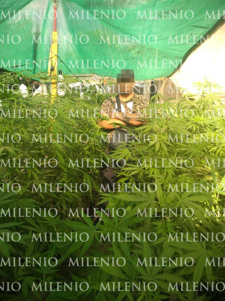 El implicado visitaba los plantíos de mariguana en Tláhuac.