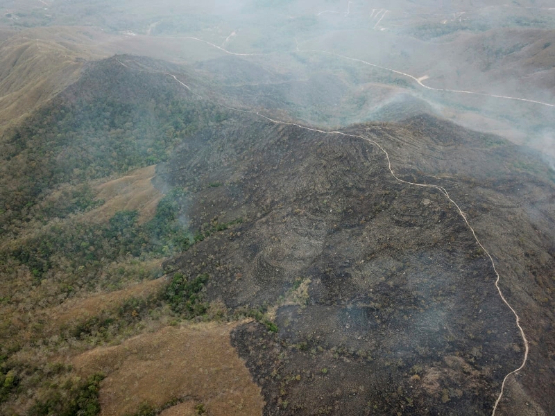 Los peores incendios forestales de los últimos años están asolando a Brasil. (AP)
