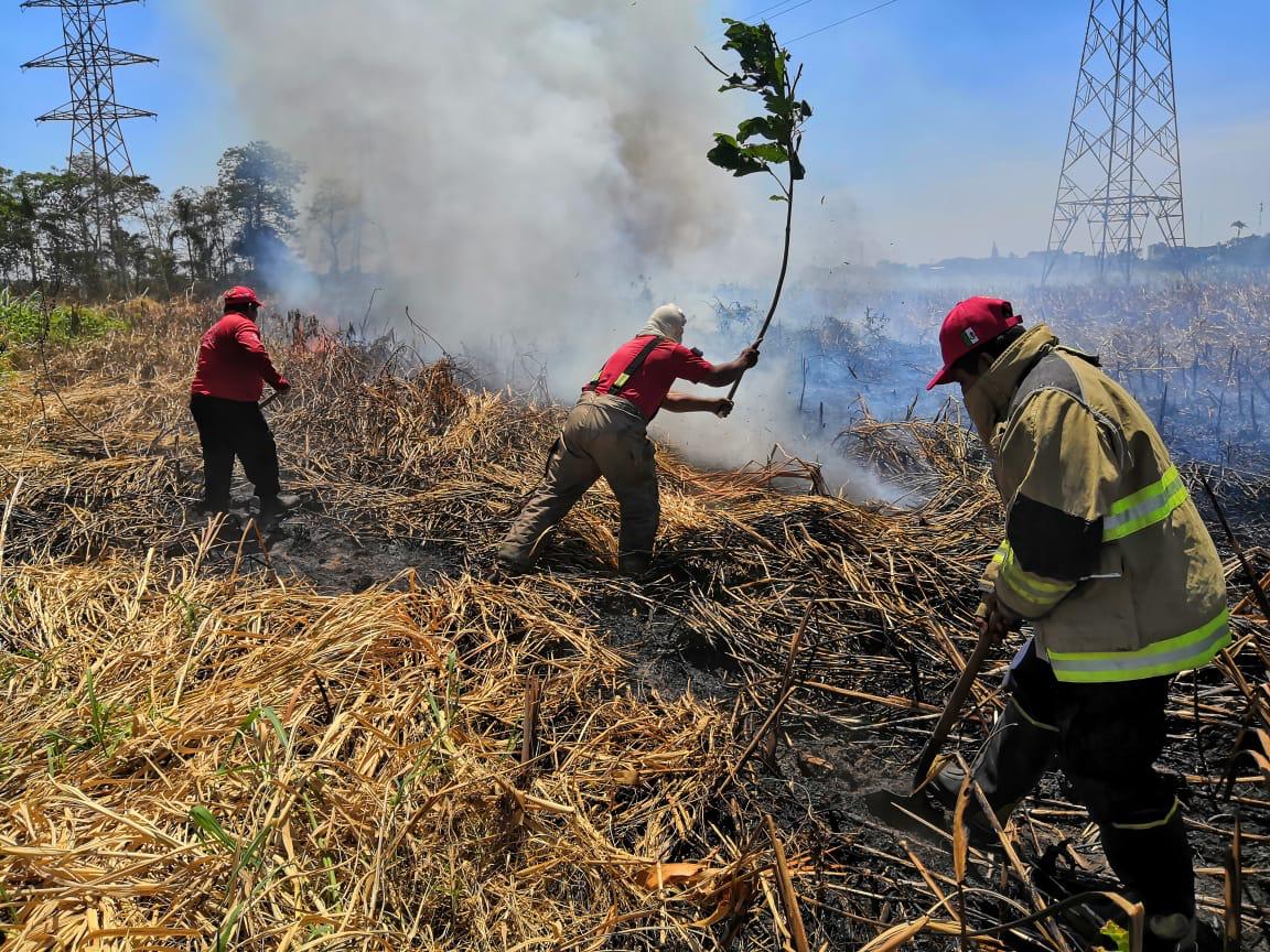 El domingo 25 se registraron 36 incendios en pastizales. (Foto del Twitter de Protección Civíl de Tabasco)