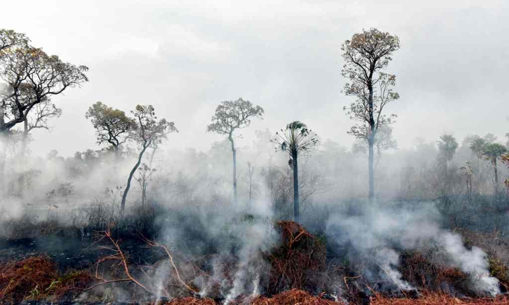Hasta el domingo se registraron mil 113 nuevos incendios en la Amazonia respecto al sábado. AFP