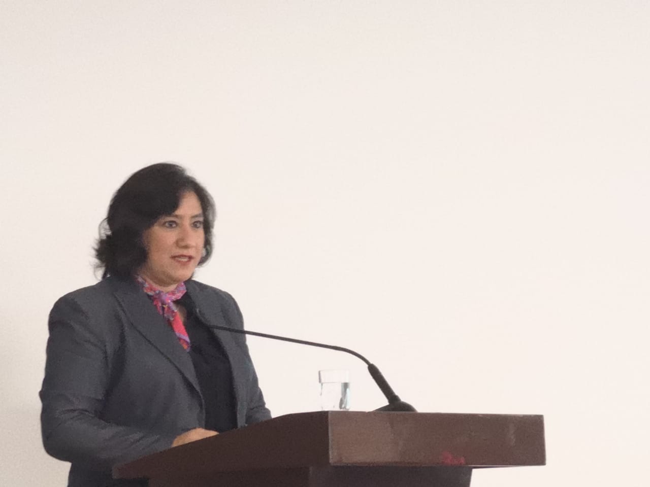 Irma Eréndira Sandoval, titular de la SFP (Cristina Ochoa | Milenio)