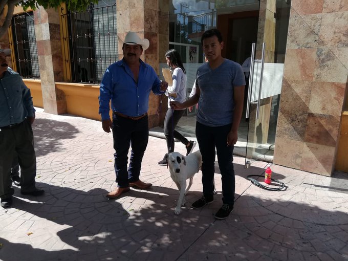 Rescatan a perrito agredido en Huehuetlán (Especial)
