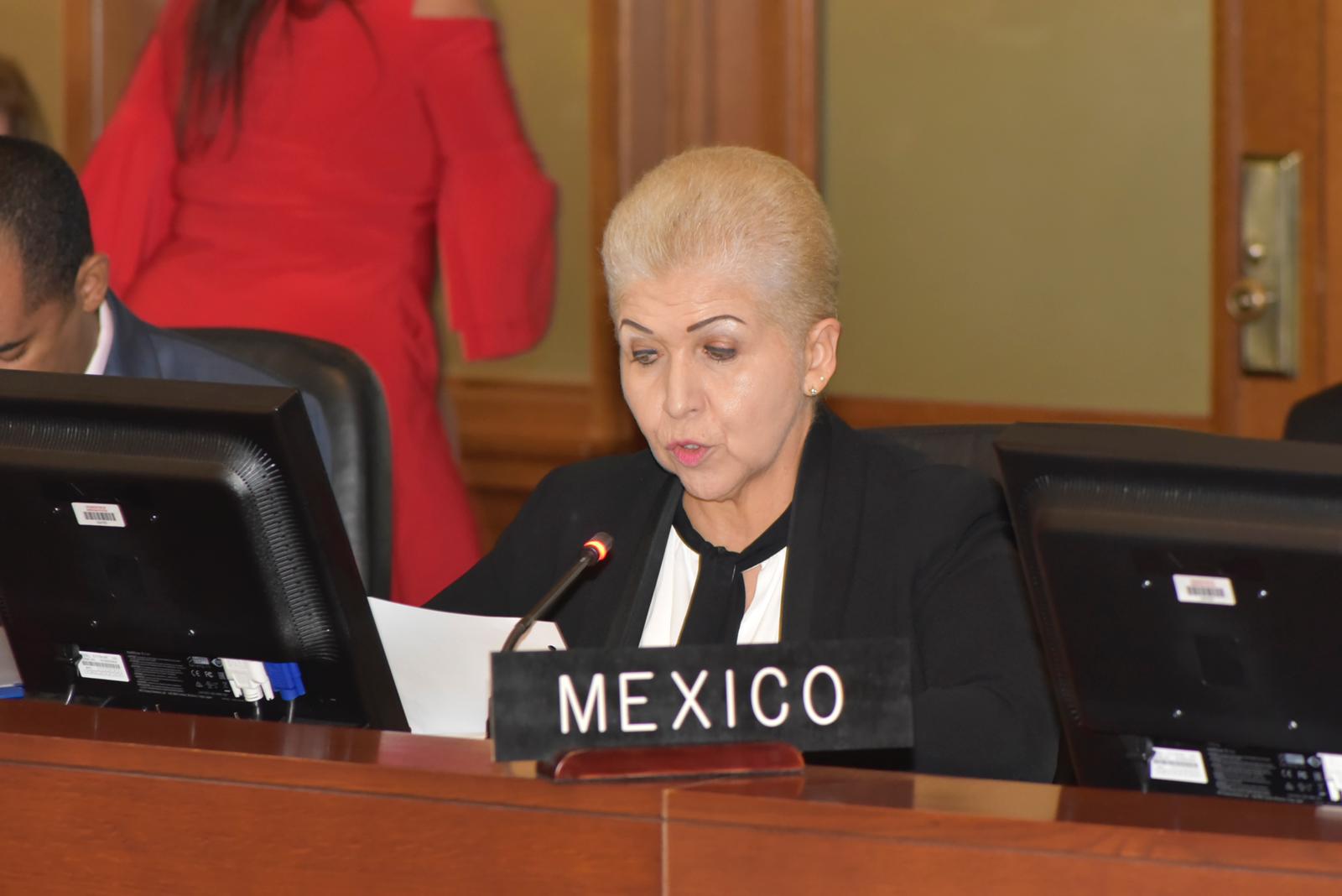 Luz Elena Baños Rivas, representante de México ante el Consejo General de la OEA: el acto terrorista nos consterna sobre manera, dijo. (@OEA_oficial)