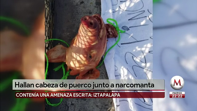 Investigan hallazgo de cabeza de puerco con mensaje de amenaza en Iztapalapa