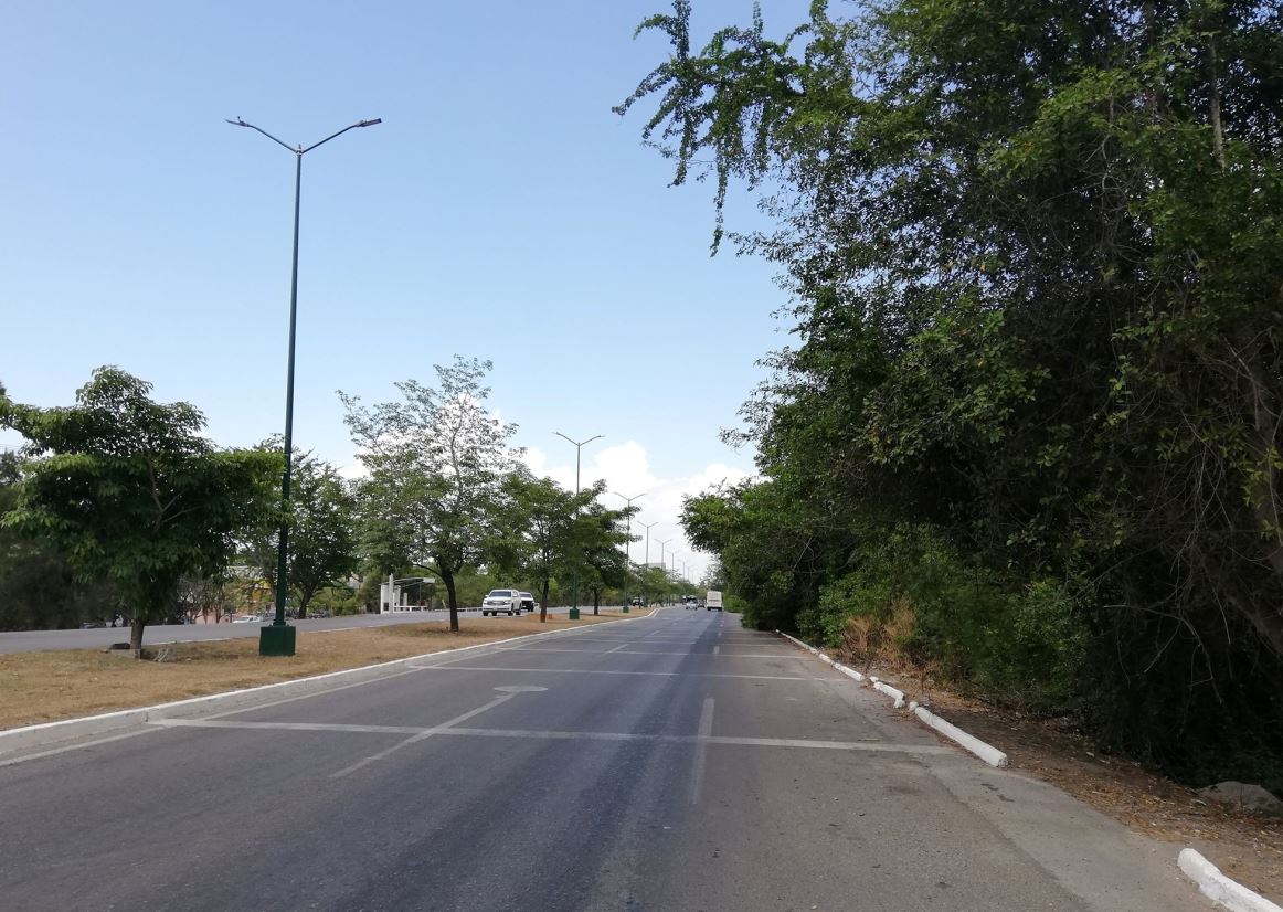 Mangle afectando a carretera Tampico-Valles (Foto/Noel Vergara)