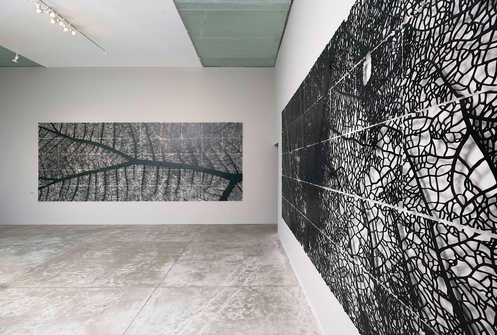 Todas las obras de la exposición hacen alusión a elementos de la naturaleza, sobre todo hojas.