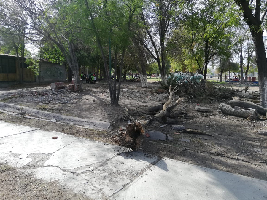 Denuncian falta de iluminación, de agua y por ende, del cuidado de las áreas verdes y de la limpieza del lugar. (Jorge Maldonado)