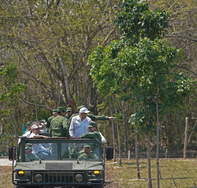 La mitad de la meta de 552 millones 541 mil 410 plantas serán producidas en 5 mil 714 viveros | Cuartoscuro