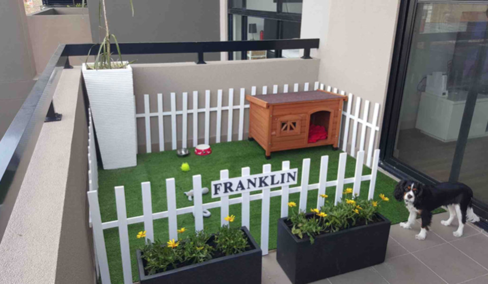Es necesario que si vas a tener a tu mascota en la terraza, la pongas una casita para resguardarse de la lluvia (Cortesía)