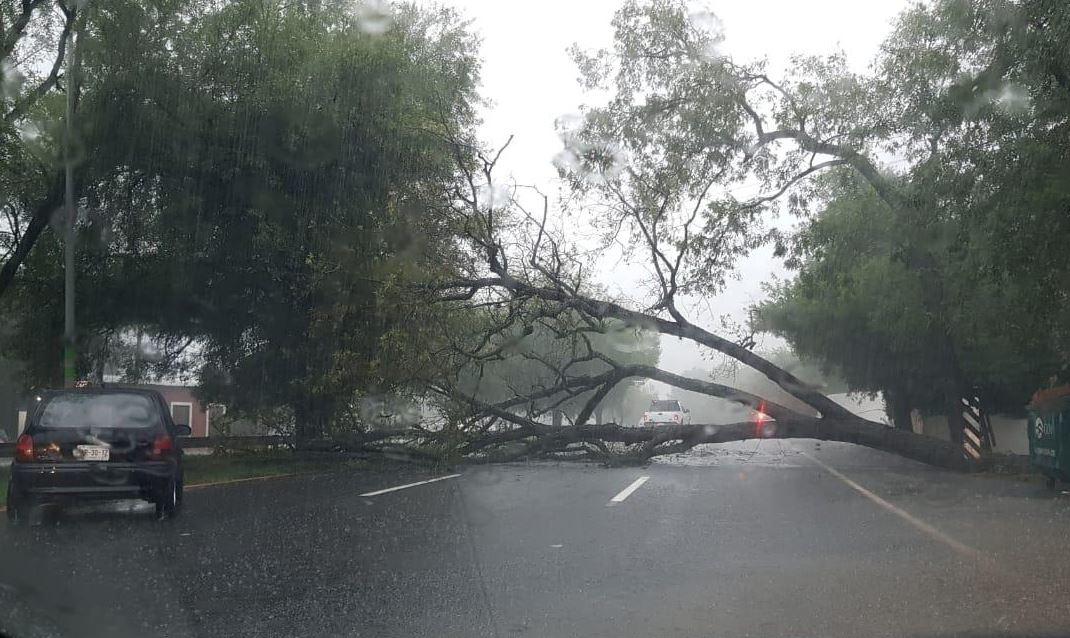 El cierre de la vialidad se presenta a la altura de El Barrial, en dirección a Santiago. Foto: Especial