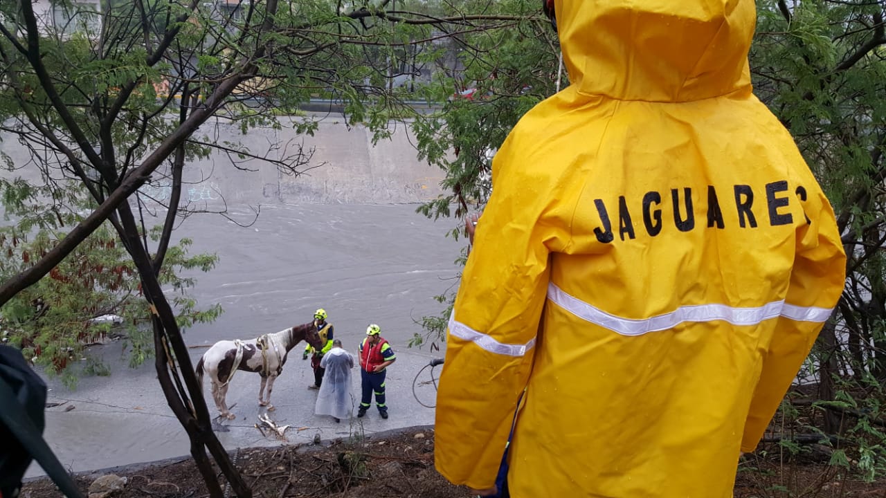 Grupo Jaguares estará resguardando diversos puntos del municipio.Foto: Especial.