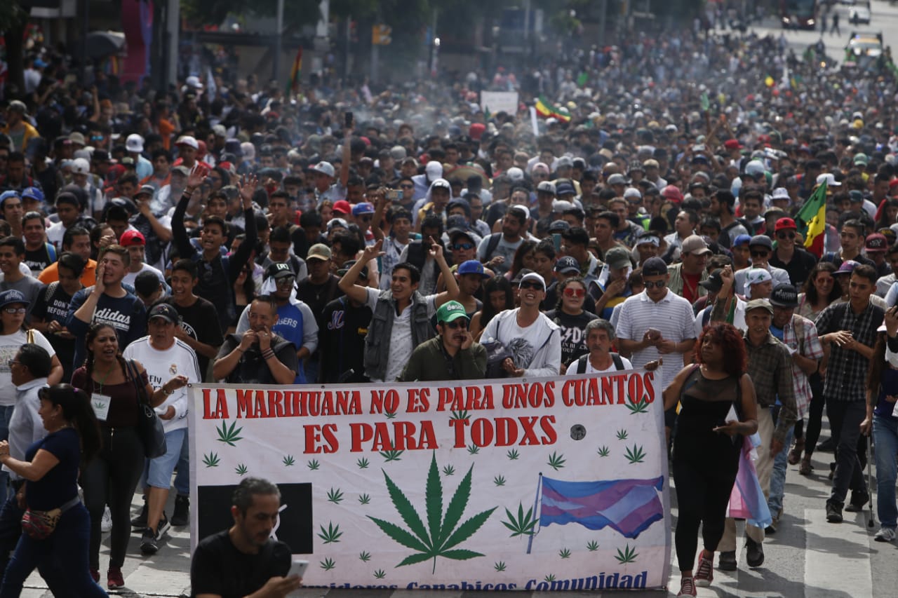 Marcha a favor de la mariguana en CdMx. (Araceli López)