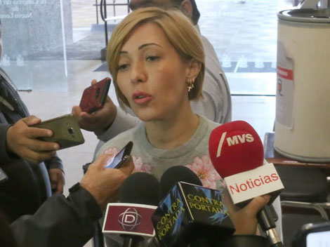 La diputada de Morena, Claudia Tapia. Foto: Especial