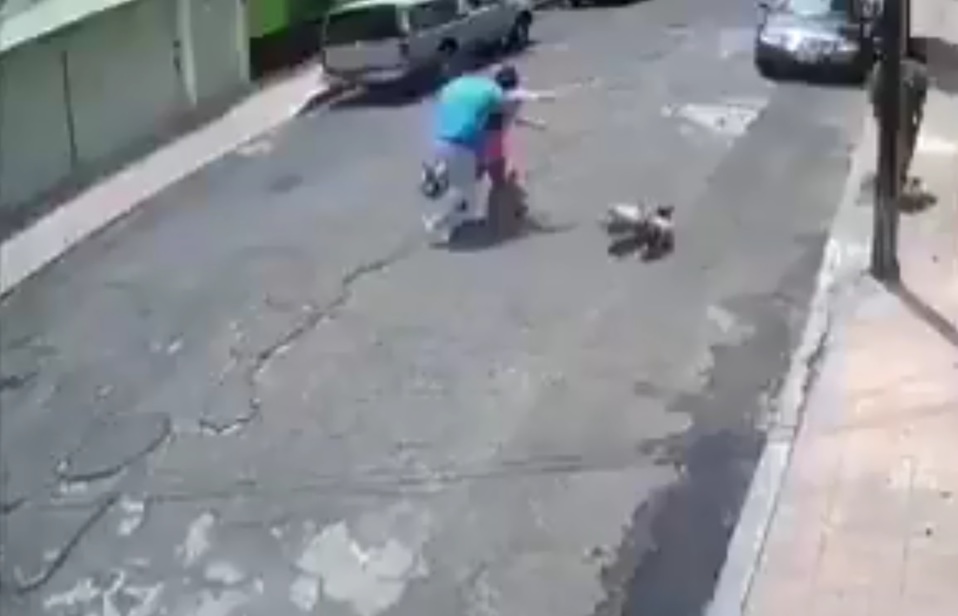 Un hombre aventó a una mujer por una pelea entre perros en calles de Miguel Hidalgo. (Especial)