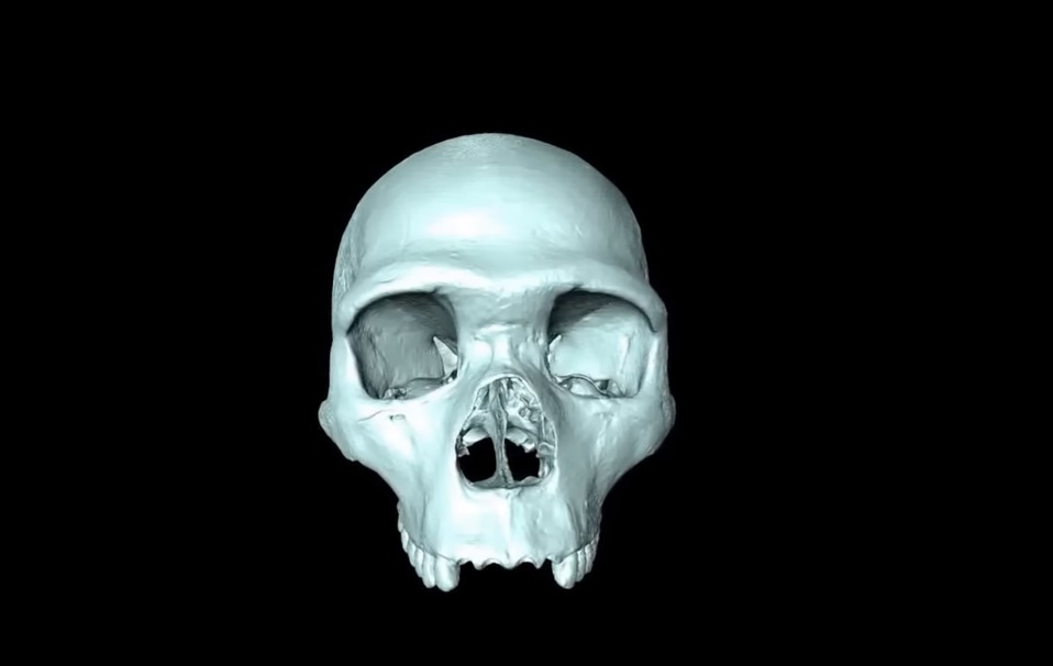 Imagen virtual en 3D de ancestro en común del Homo Sapiens (Especial).