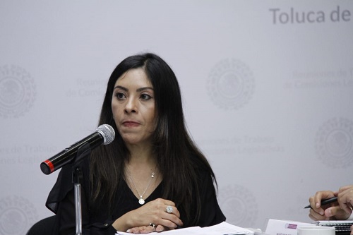 El tema se abordó en comisiones. (Claudia Aguilar)
