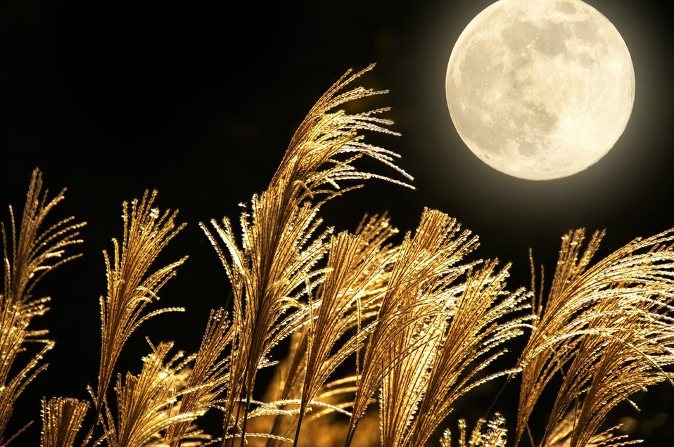 Luna de cosecha (Shutterstock).