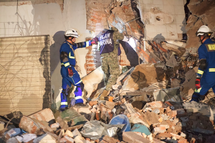 El sismo de 8.2, el más intenso en casi un siglo en México/Especial.