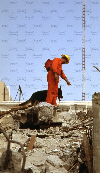 El equipo de perros rescatistas de Suiza también colaboró en el derrumbe del Hotel Romano, ubicado entre las calles Humboldt y Artículo 123. (Fototeca