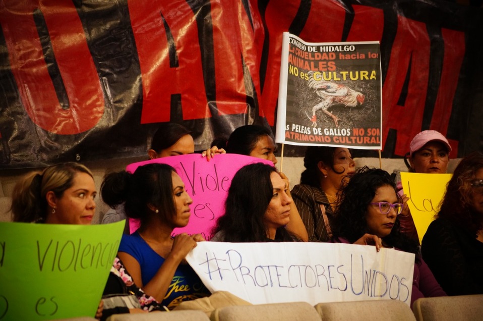 Colectivos animalistas se manifiestan en el congreso local contra el nombramiento de peleas de gallos como patrimonio cultural. (Carlos Mercado)