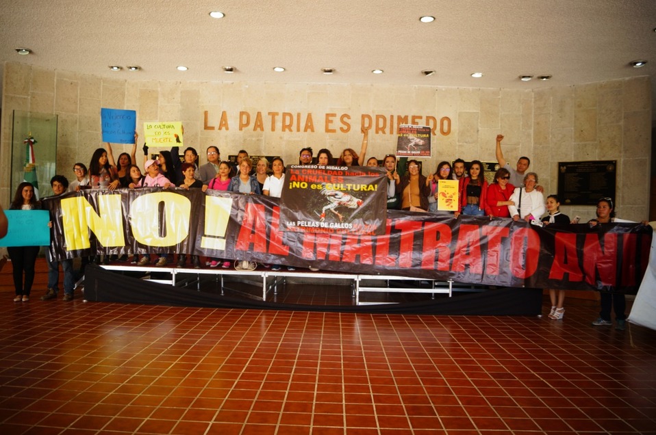 Organizaciones, colectivos y protectores animales independientes se manifestaron en el Congreso del estado de Hidalgo. (Cortesía)