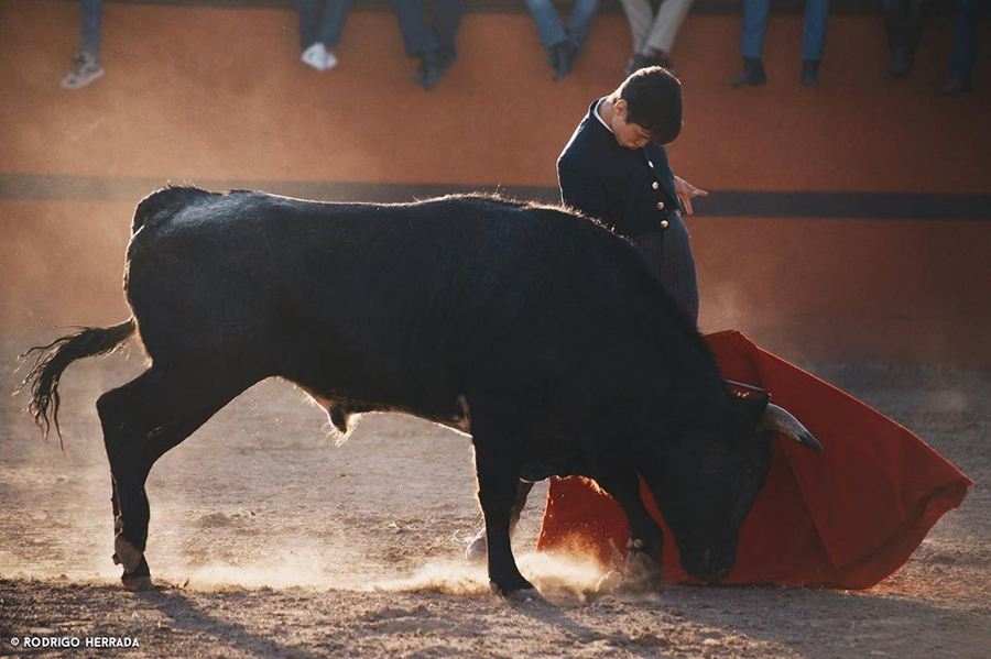 El oriundo de Torreón ha triunfado en España, donde fue el máximo triunfador y salió a hombros de la plaza. (Cortesía)