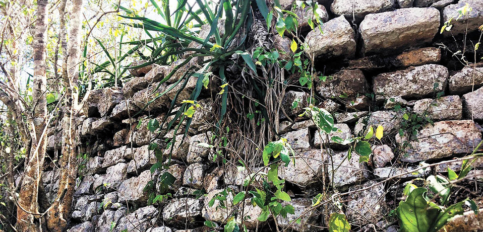 En la zona se observa un tipo de arquitectura megalítica, de grandes piedras con cornisas que muestran una influencia de Izamal. (Martha López/EFE)