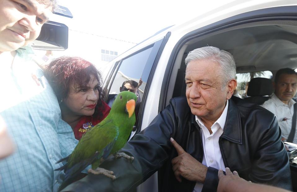 Una mujer obsequió un perico a López Obrador en Coahuila/Héctor Téllez.