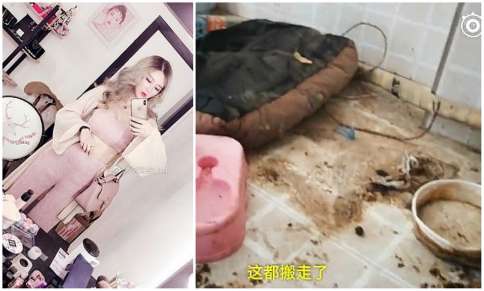 Lisa Li (Weibo/ Pear Video).