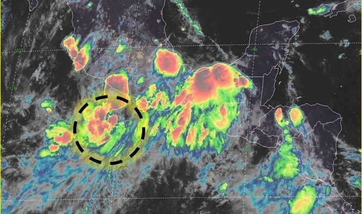 La tormenta tropical 'Narda' tiene vientos máximos sostenidos de 65 kilómetros por hora. (Conagua)