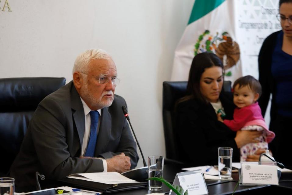 José Alonso Novelo Baeza, director de la Cofepris, durante su comparecencia ante el Senado (Cuartoscuro)