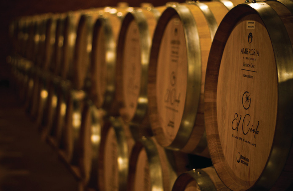 En sus 103 hectáreas se cultivan cepas de 12 varietales de origen francés, italiano y del Valle de Napa (Cortesía)