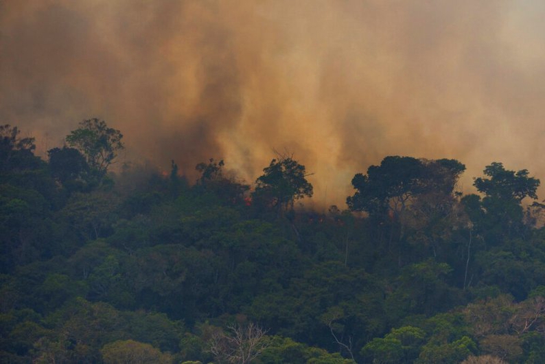 Incendios del Amazonas (AP).