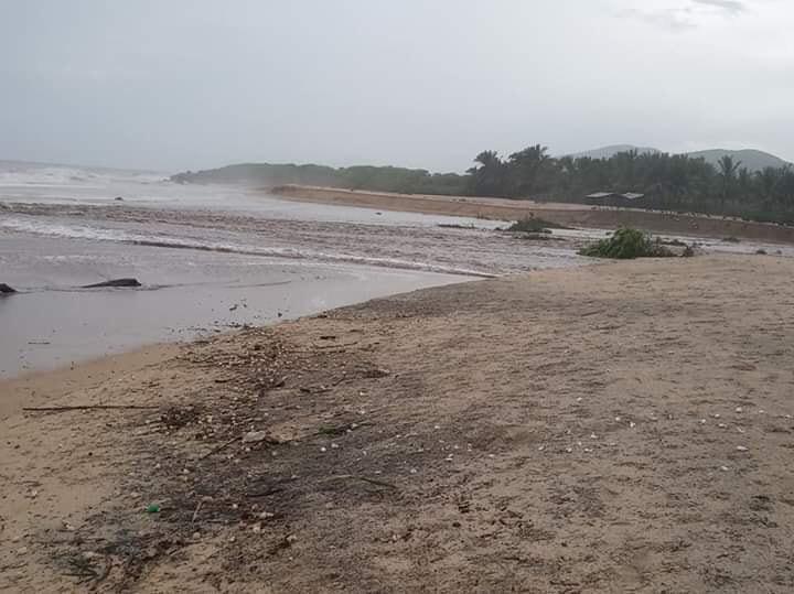 La tormenta tropical Narda desutuyó los nidos de campamentos tortugueros. (Jocelyn Estrada)