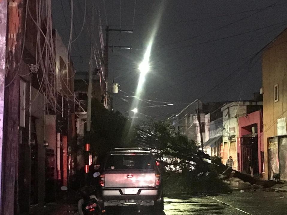 Se reportaron 17 árboles caídos en la ZMG. (Cortesía)