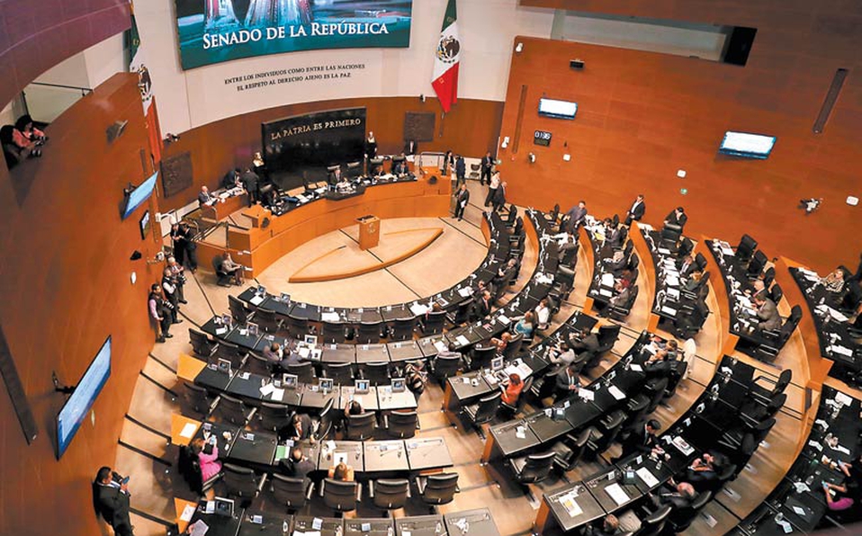 La única senadora del PRI es Verónica Martínez. (Archivo)